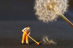 広島でハウスクリーニングを依頼するならココ!人気な業者の秘密とは?