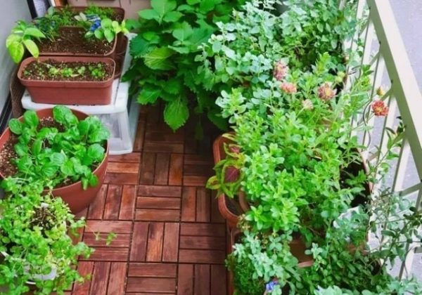 ちょっとした工夫で綺麗に!ベランダ掃除のポイントは?