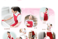 有資格スタッフが在籍する家事サポ、人気の秘密とは？