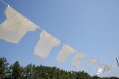 北海道での洗濯物はお任せください!ジャバリンにインタビュー!