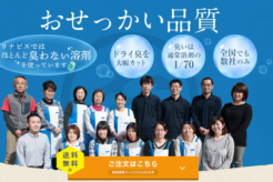 リナビスの口コミと評判は悪い?主婦が利用して検証!