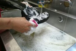 美靴パックにインタビュー！”靴専門”の宅配クリーニング