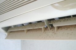 エアコンのカビは放置すると危険⁉カビが発生する原因や予防法