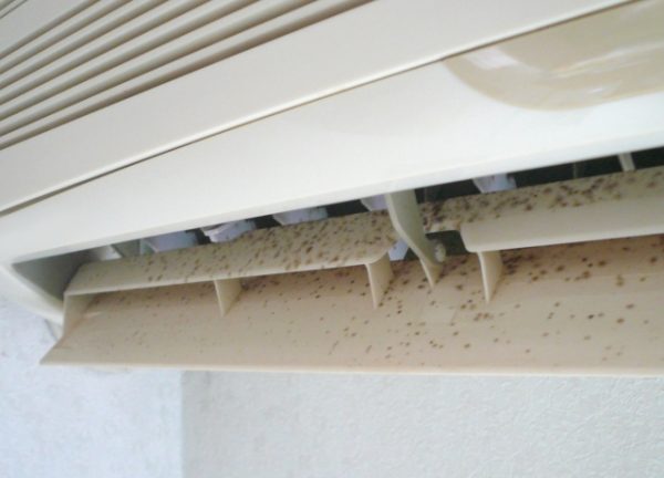 エアコンのカビは放置すると危険⁉カビが発生する原因や予防法