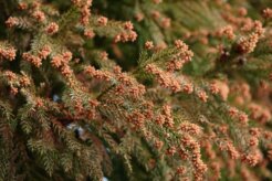 エアコンで花粉症対策ができる!理由と具体的な手順を詳しく解説します